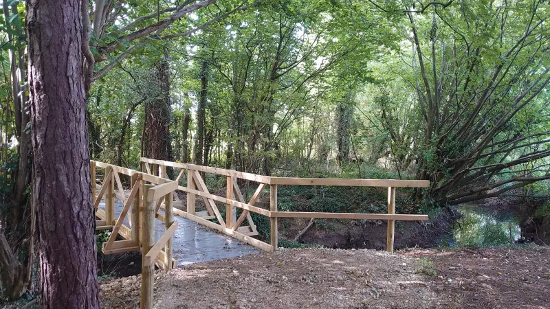 Newly built bridge in woodland area